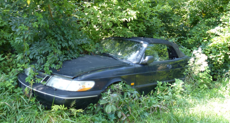 Illustration for article titled A Michigan Town Is Forcing This Man To Sell 20 Old Cars Off His Property Every Month